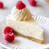 Cheese Cake Slice